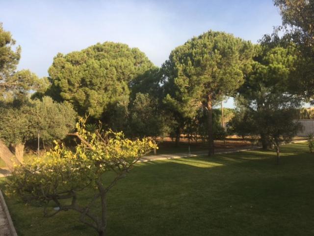 Villa Torrealta, 4000 M2 Cádiz Buitenkant foto
