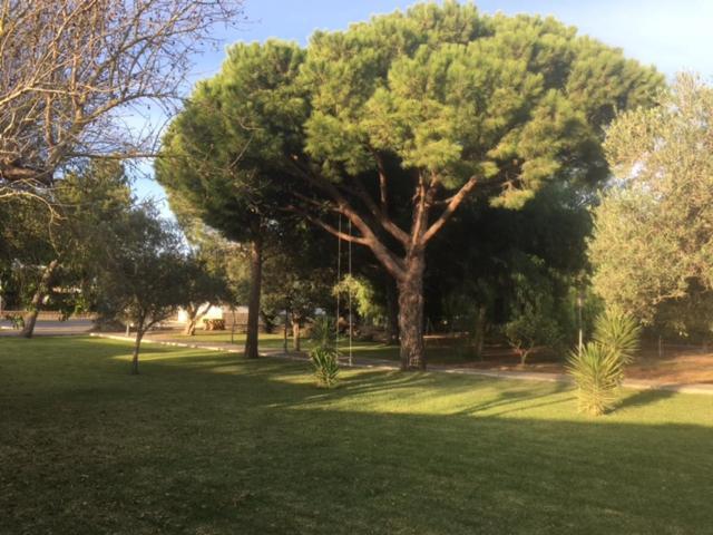 Villa Torrealta, 4000 M2 Cádiz Buitenkant foto