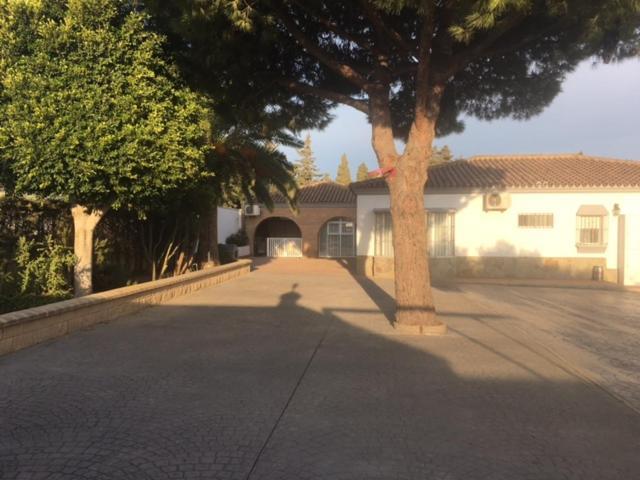 Villa Torrealta, 4000 M2 Cádiz Buitenkant foto